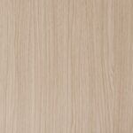 Дуб Белёный